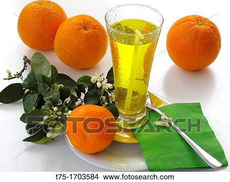 Orange blossom and Orange infusion View Large Photo Image Picture - Orange blossom and Orange infusion. Fotosearch