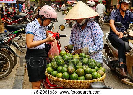 Orange vendor in Hanoi, Vietnam. View Large Photo Image Stock Photography - Orange vendor in Hanoi, Vietnam.. Fotosearch