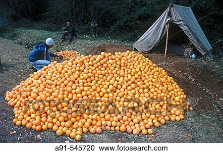 Stock Image - Oranges seller along the road in the Rif region. Morocco. Fotosearch