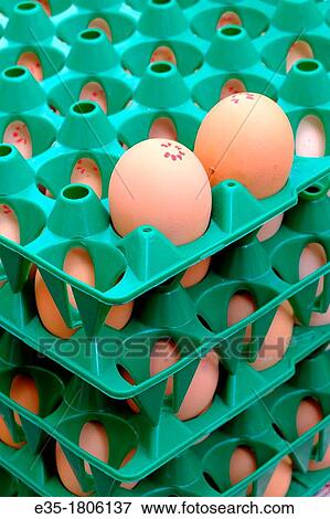 Organic farm eggs for sale at a market in France View Large Photo Image Stock Photo - Organic farm eggs for sale at a market in France. Fotosearch