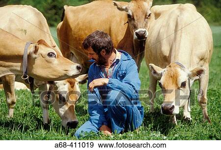 Organic farmer John Wessmanon his farm Lilla Kil" together with his Ayrshire cows. Sweden. " View Large Photo Image Stock Photo - Organic farmer John Wessmanon his farm Lilla Kil" together with his Ayrshire cows. Sweden. ". Fotosearch