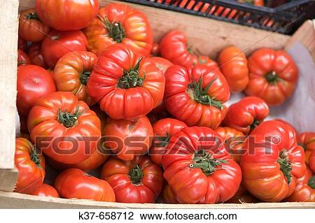 Organic, heirloom tomatoes grown in small quantities on a small-to-medium family farm, for sale at weekly market in French village in southern France. View Large Photo Image Stock Image - Organic, heirloom tomatoes grown in small quantities on a small-to-medium family farm, for sale at weekly market in French village in southern France.. Fotosearch