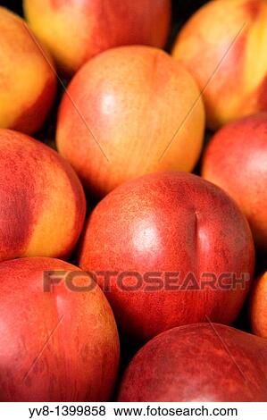 Organic Nectarines View Large Photo Image Stock Photo - Organic Nectarines. Fotosearch