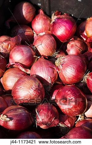 Stock Image - Organic red onions at farmers market, close-up. Fotosearch