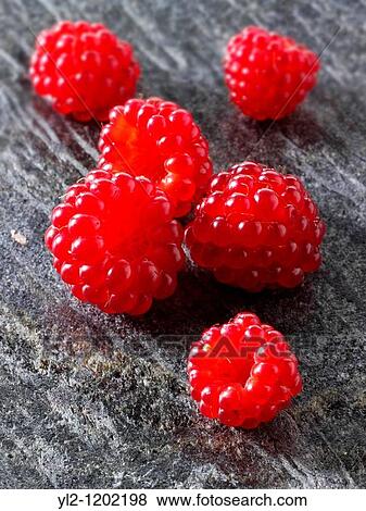 Organic Wineberry Rubus phoenicolasius - Japanese fruit View Large Photo Image Stock Photo - Organic Wineberry Rubus phoenicolasius - Japanese fruit. Fotosearch