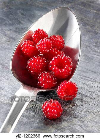 Organic Wineberry Rubus phoenicolasius - Japanese fruit View Large Photo Image Stock Photograph - Organic Wineberry Rubus phoenicolasius - Japanese fruit. Fotosearch