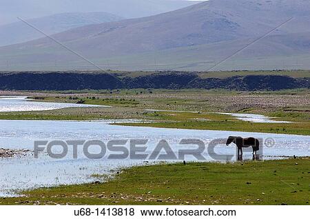 Stock Photo - Orkhon River, Orkhon Valley, Ovorkhangai district, Mongolia. Fotosearch