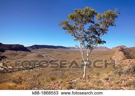 Orminstone Pound West McDonnel Ranges, Central Australia View Large Photo Image Stock Image - Orminstone Pound West McDonnel Ranges, Central Australia. Fotosearch