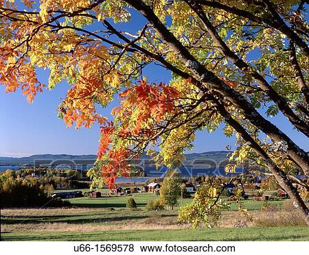 Orsa Dalarna Sweden. View Large Photo Image Stock Photo - Orsa Dalarna Sweden.. Fotosearch