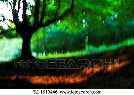 Otzarreta beech forest, Gorbeia Natural Park, Bizkaia, Basque Country, Spain View Large Photo Image Stock Photograph - Otzarreta beech forest, Gorbeia Natural Park, Bizkaia, Basque Country, Spain. Fotosearch