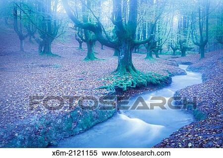 Otzarreta beechwood and river. Gorbeia Natural Park. Biscay, Basque Country, Spain. Europe. View Large Photo Image Stock Photography - Otzarreta beechwood and river. Gorbeia Natural Park. Biscay, Basque Country, Spain. Europe.. Fotosearch