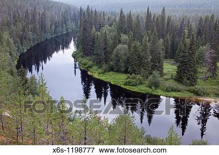 Stock Photo - Oulankajoki river, Kiutakong's day trail, National Park of Oulanka, Kuusamo, Finland. Fotosearch