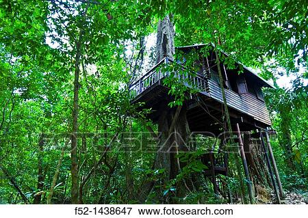 Stock Photo - Our Jungle House Accommodation Khao Sok National Park Suratthani Province, Thailand, Asia.. Fotosearch