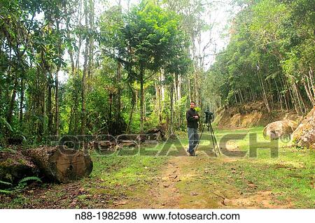 Stock Photo - Outdoor photographer, San Eusebio Cloud Forest, Venezuela. Fotosearch