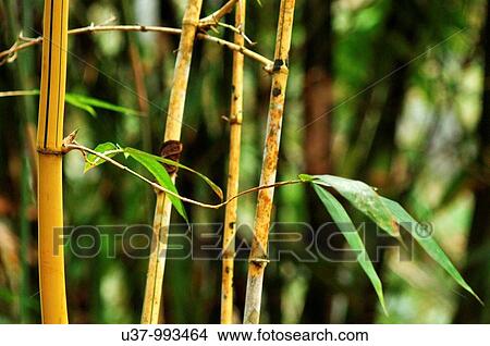 Outdoor view View Large Photo Image Picture - Outdoor view. Fotosearch