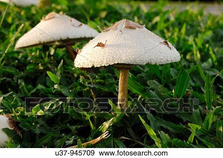 Outdoor view View Large Photo Image Stock Photo - Outdoor view. Fotosearch
