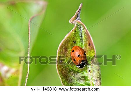 Outdoor view View Large Photo Image Stock Photo - Outdoor view. Fotosearch