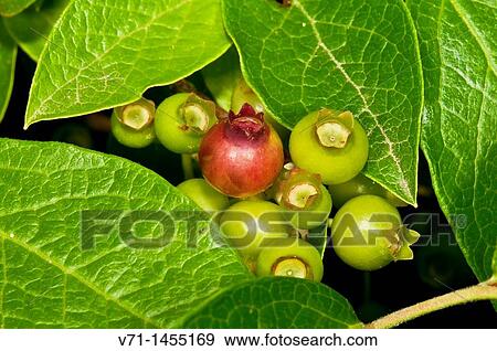 Outdoor view View Large Photo Image Stock Photo - Outdoor view. Fotosearch