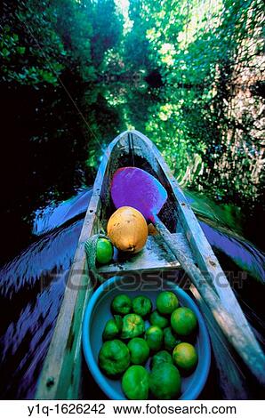 Outrigger Canoe Kosrae Micronesia View Large Photo Image Stock Image - Outrigger Canoe Kosrae Micronesia. Fotosearch