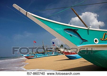 Outrigger fishing boats on Hikkaduwa beach, Sri Lanka View Large Photo Image Stock Image - Outrigger fishing boats on Hikkaduwa beach, Sri Lanka. Fotosearch