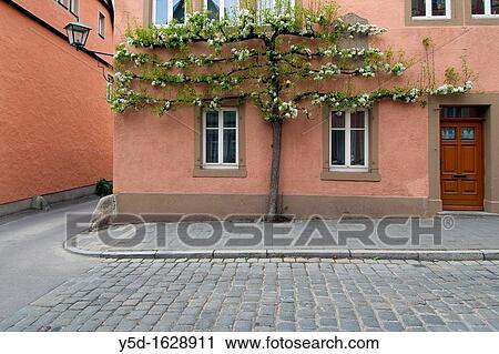 Stock Image - overgrown building facade, Rothenburg ob der Tauber, Germany, Europe. Fotosearch