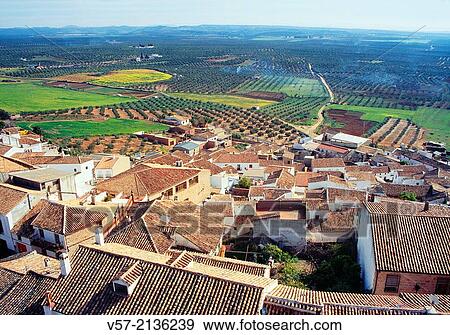 Overview and olive groves. Baos de la Encina, Jaen province, Andalucia, Spain. View Large Photo Image Stock Photo - Overview and olive groves. Baos de la Encina, Jaen province, Andalucia, Spain.. Fotosearch
