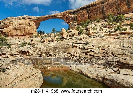 Stock Photo - Owachomo Bridge, Natural Bridges National Monument Utah. Fotosearch