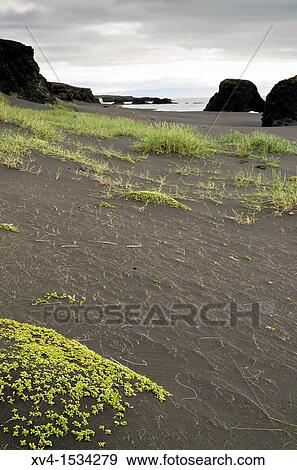 Stock Photo - Oxarfjordur bay Northern Iceland. Fotosearch