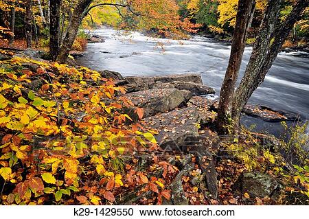 Oxtongue River rapids and autumn foliage Oxtongue River, Ontario View Large Photo Image Stock Image - Oxtongue River rapids and autumn foliage Oxtongue River, Ontario. Fotosearch