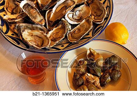 Oysters and? bulots? shellfish, Gironde, Aquitaine, France View Large Photo Image Stock Image - Oysters and? bulots? shellfish, Gironde, Aquitaine, France. Fotosearch