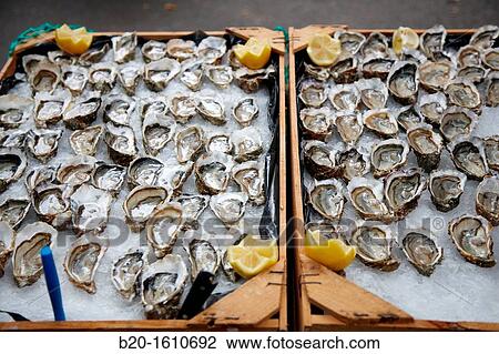 Stock Image - Oysters, Food Congress, Catering Service, Donostia, San Sebastian, Gipuzkoa, Basque Country, Spain. Fotosearch