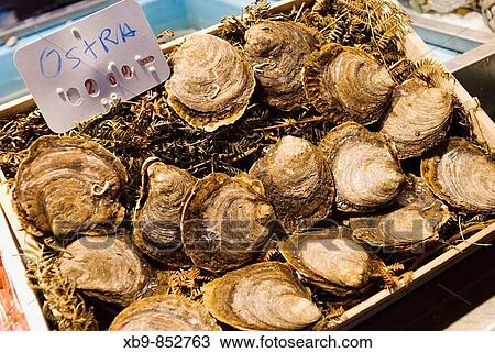 Oysters for sale in seafood market, Barcelona, Spain. View Large Photo Image Stock Image - Oysters for sale in seafood market, Barcelona, Spain.. Fotosearch