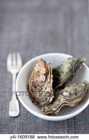 Oysters View Large Photo Image Stock Photo - Oysters. Fotosearch