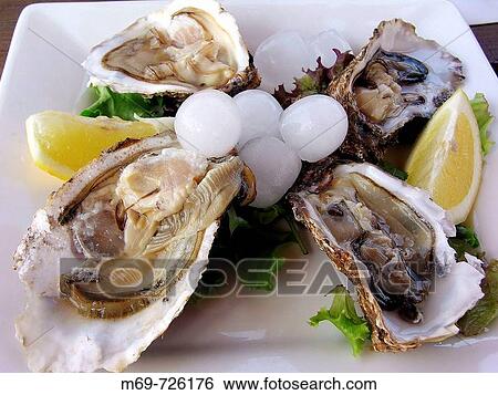 Oysters View Large Photo Image Stock Photograph - Oysters. Fotosearch