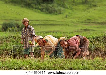Pa-O tribe people During The trekking from Kalaw to Inle Lake, Kalaw, Shan State, Myanmar, Burma, Asia View Large Photo Image Stock Photography - Pa-O tribe people During The trekking from Kalaw to Inle Lake, Kalaw, Shan State, Myanmar, Burma, Asia. Fotosearch