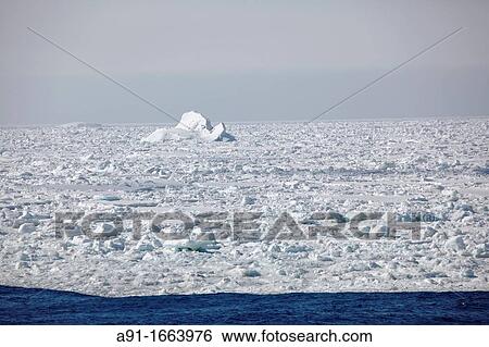 Pack ice in the Weddell Sea, Antarctica View Large Photo Image Stock Photograph - Pack ice in the Weddell Sea, Antarctica. Fotosearch