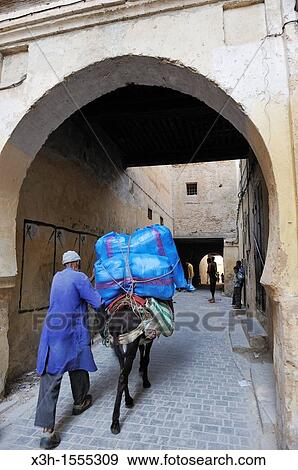pack mule in the medina, Fes, Morocco, North Africa View Large Photo Image Stock Photo - pack mule in the medina, Fes, Morocco, North Africa. Fotosearch