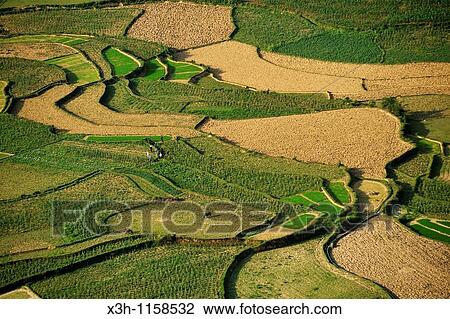 paddy-fields around Tam Son village viewed from Quan Ba Pass on the road to Yen Minh, Ha Giang province, northern Vietnam, southeast asia View Large Photo Image Stock Image - paddy-fields around Tam Son village viewed from Quan Ba Pass on the road to Yen Minh, Ha Giang province, northern Vietnam, southeast asia. Fotosearch