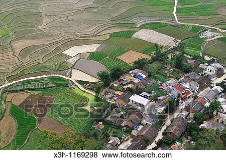 Stock Photo - paddy-fields, Dong Van, Ha Giang province, north Vietnam, southeast asia. Fotosearch