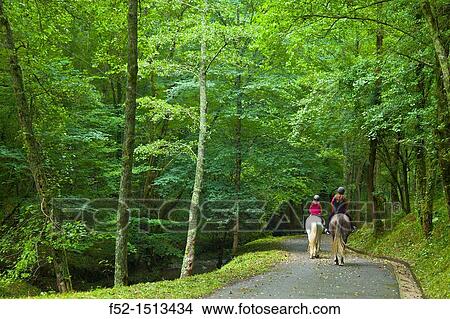 Pagoeta Natural Park, Aia valley, Gipuzkoa, Basque Country, Spain View Large Photo Image Picture - Pagoeta Natural Park, Aia valley, Gipuzkoa, Basque Country, Spain. Fotosearch