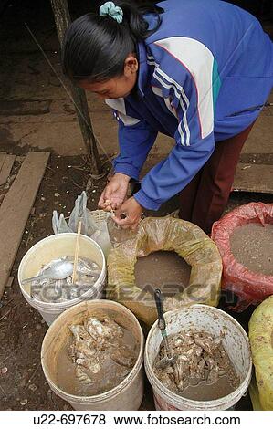 Stock Photo - Paksong Laos: a woman selling fish paste at the market. Fotosearch