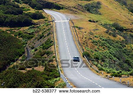 Stock Photo - Pal da Serra. Madeira. Portugal.. Fotosearch