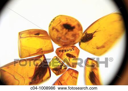 Stock Photograph - Palanga Amber Museum, Lithuania. Fotosearch