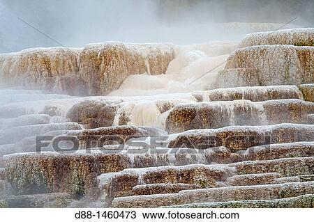 Palette spring, Mammoth hot springs area, Yellowstone National Park, Wyoming-Montana, USA View Large Photo Image Stock Image - Palette spring, Mammoth hot springs area, Yellowstone National Park, Wyoming-Montana, USA. Fotosearch