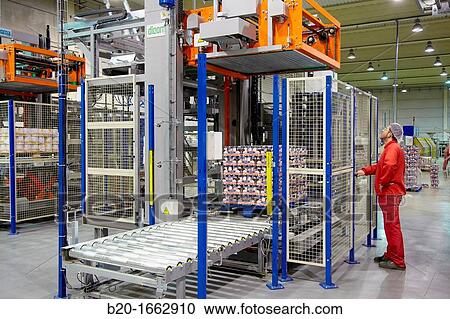 Palletizing, Packaging canned vegetables, Canning Industry, Agri-food, Logistics Center, Grupo Riberebro, Alfaro, La Rioja, Spain View Large Photo Image Stock Image - Palletizing, Packaging canned vegetables, Canning Industry, Agri-food, Logistics Center, Grupo Riberebro, Alfaro, La Rioja, Spain. Fotosearch