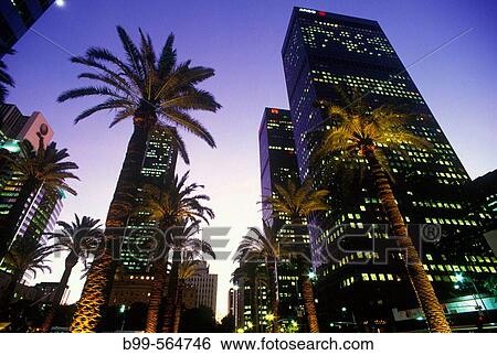 Palm trees, Figueroa street, Downtown, Los angeles, California, USA. View Large Photo Image Stock Photograph - Palm trees, Figueroa street, Downtown, Los angeles, California, USA.. Fotosearch