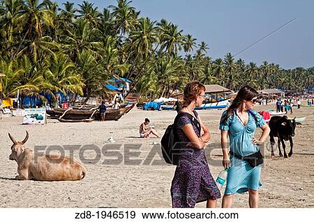 Stock Photo - palolem beach in goa. india.. Fotosearch