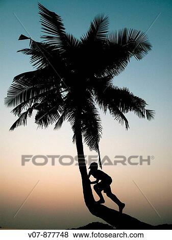 Palolem, Goa, India View Large Photo Image Stock Photo - Palolem, Goa, India. Fotosearch