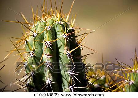 Stock Photo - Pampamarca village, Cotahuasi Canyon area, deepest canyon of the world Per. Fotosearch