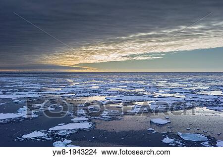 Picture - Pancake Ice-North Atlantic Ocean.. Fotosearch